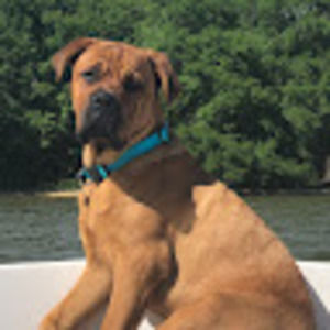 Meet your Posher, Chelsie